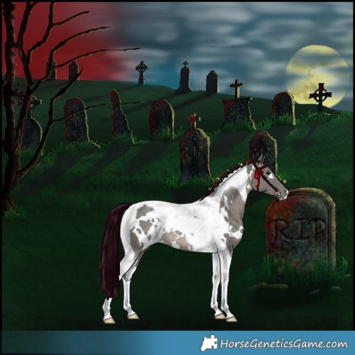 Horse Color:White Spotted Grullo Merle Tobiano Rabicano 