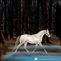Horse Color:White Spotted Bay Snowdrop Pearl Dun Tobiano Rabicano 