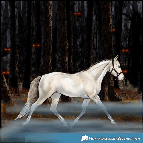Horse Color:White Spotted Bay Snowdrop Pearl Dun Tobiano Appaloosa Rabicano 
