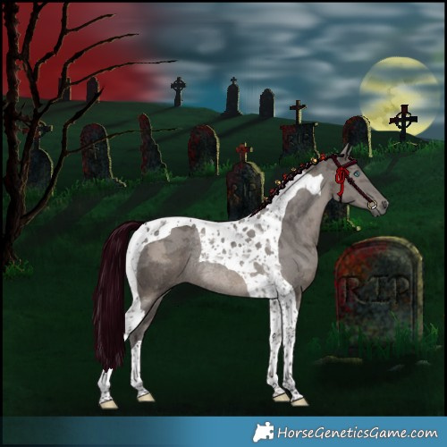 Horse Color:Smoky Grullo Merle Tobiano Rabicano 