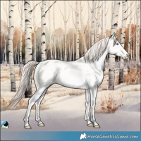 Horse Color:Classic Cream Champagne Pearl Sabino