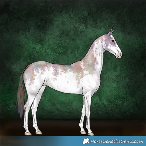 Horse Color:Nacre White Spotted Liver Red Dun Sabino 