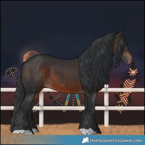 Horse Color:Brown 