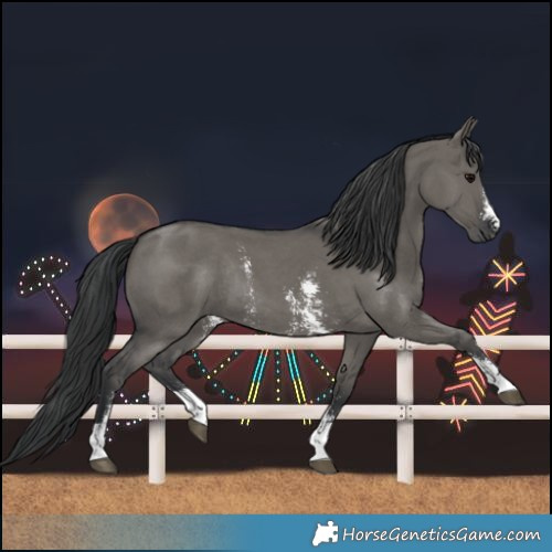 Horse Color:Grullo Sabino Rabicano 