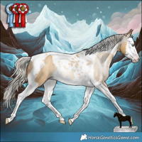Horse Color:Gray Silver Amber Cream Champagne Dun Splash Tobiano Appaloosa Rabicano 