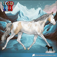 Horse Color:Gray Silver Amber Cream Champagne Dun Splash Tobiano Appaloosa Rabicano
