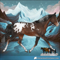 Horse Color:Liver Chestnut Splash Tobiano Appaloosa Rabicano 