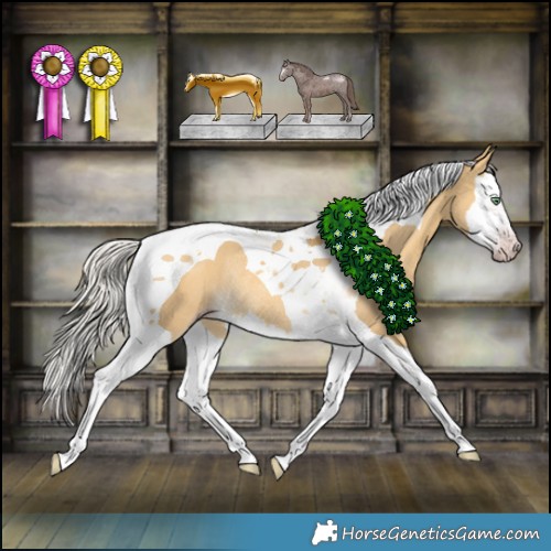 Horse Color:Gray Silver Amber Cream Champagne Dun Splash Tobiano Appaloosa Rabicano 