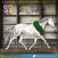 Horse Color:Gray Silver Amber Cream Champagne Dun Splash Tobiano Varnish Rabicano 
