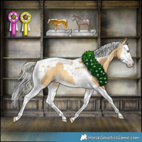 Horse Color:Gray Silver Amber Cream Champagne Dun Splash Tobiano Appaloosa Rabicano 