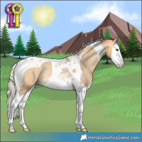 Horse Color:Silver Buckskin Dun Splash Tobiano Varnish Rabicano 