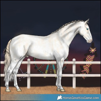 Horse Color:Buckskin Pearl Sabino
