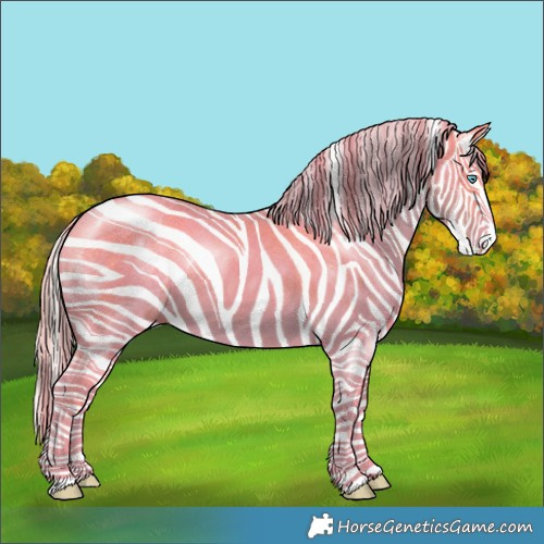 Horse Color:Palomino Pearl Sabino 