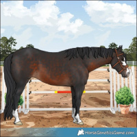 Horse Color:Brown 