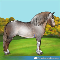 Horse Color:Gray Liver Chestnut Tobiano 