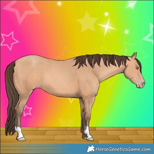 Horse Color:Amber Champagne 