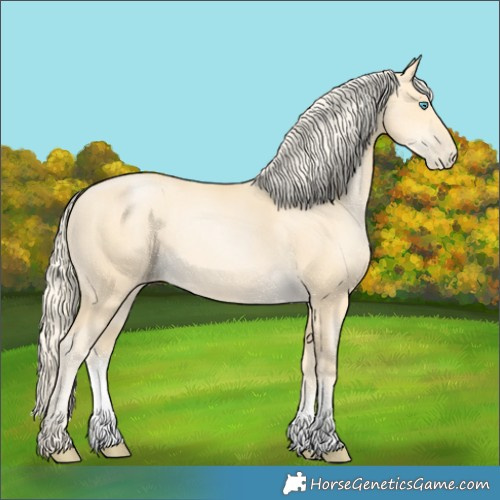 Horse Color:Palomino Pearl Sabino 