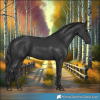 Horse Color:Black 