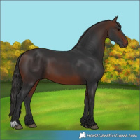 Horse Color:Brown 
