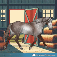 Horse Color:Gray Chestnut 