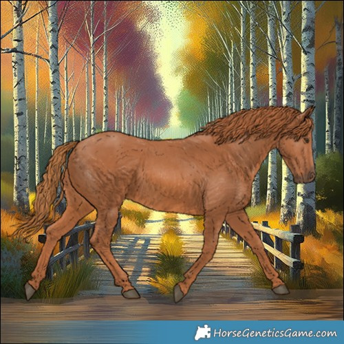 Horse Color:Chestnut 