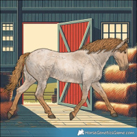 Horse Color:Red Roan 