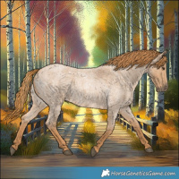 Horse Color:Red Roan 