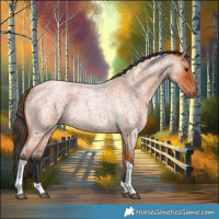 Horse Color:Bay Roan Tobiano 