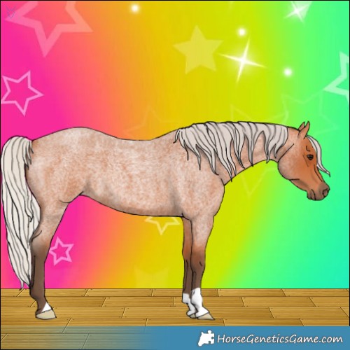 Horse Color:Silver Bay Roan