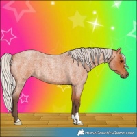 Horse Color:Silver Bay Roan 