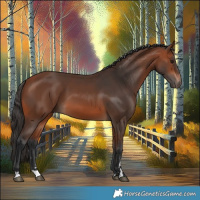 Horse Color:Bay 
