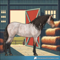 Horse Color:Bay Roan 