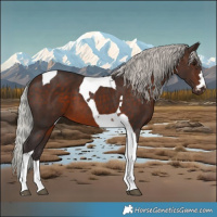 Horse Color:Silver Brown Tobiano