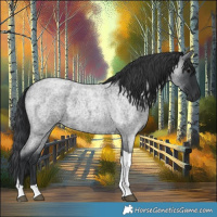 Horse Color:Blue Roan Tobiano 