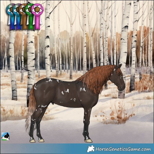 Horse Color:White Spotted Liver Chestnut 