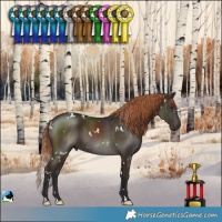 Horse Color:White Spotted Liver Chestnut