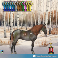 Horse Color:White Spotted Liver Chestnut