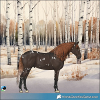 Horse Color:White Spotted Liver Chestnut 