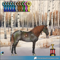 Horse Color:White Spotted Liver Chestnut 