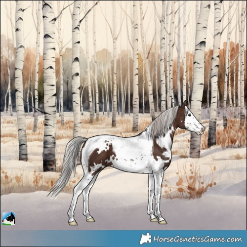 Horse Color:White Spotted Silver Bay Splash Tobiano
