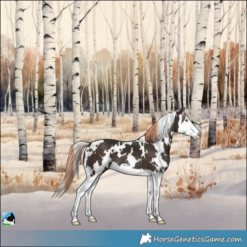 Horse Color:White Spotted Liver Chestnut Splash 