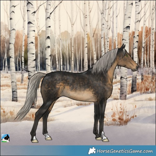 Horse Color:Gray Silver Smoky Black 