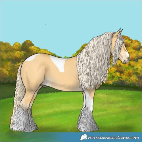 Horse Color:Palomino Dun Tobiano 