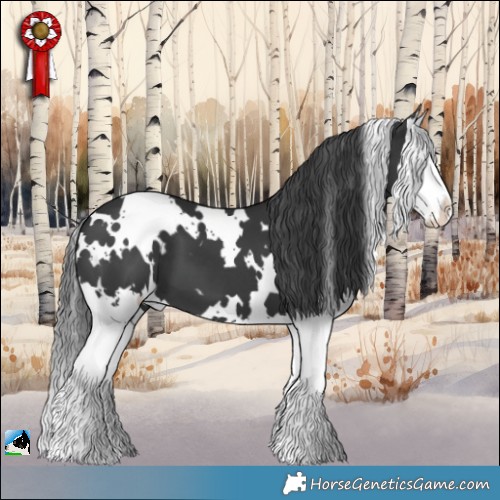 Horse Color:White Spotted Black Splash 