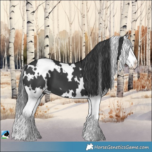 Horse Color:White Spotted Black Splash