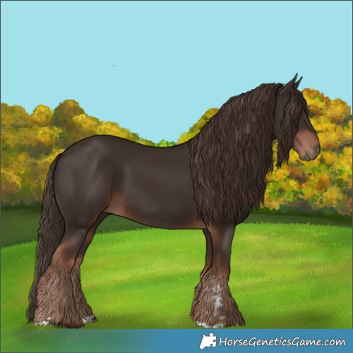 Horse Color:Liver Chestnut 