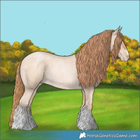 Horse Color:Buckskin Roan Pearl Sabino 