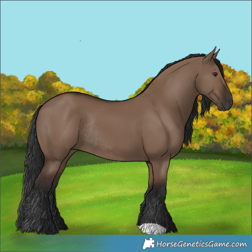 Horse Color:Liver Red Dun Rabicano 