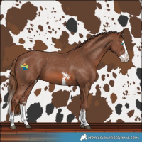 Horse Color:Chestnut Sabino Splash Varnish 