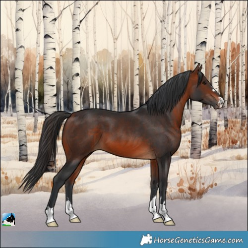 Horse Color:Brown 
